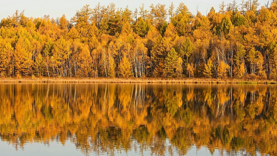 [pulang pergi Shanghai-Changshu] area pemandangan Shanghu + Kuil Konfusianisme Changshu + Taman Yanyuan + Kuil Xingfu