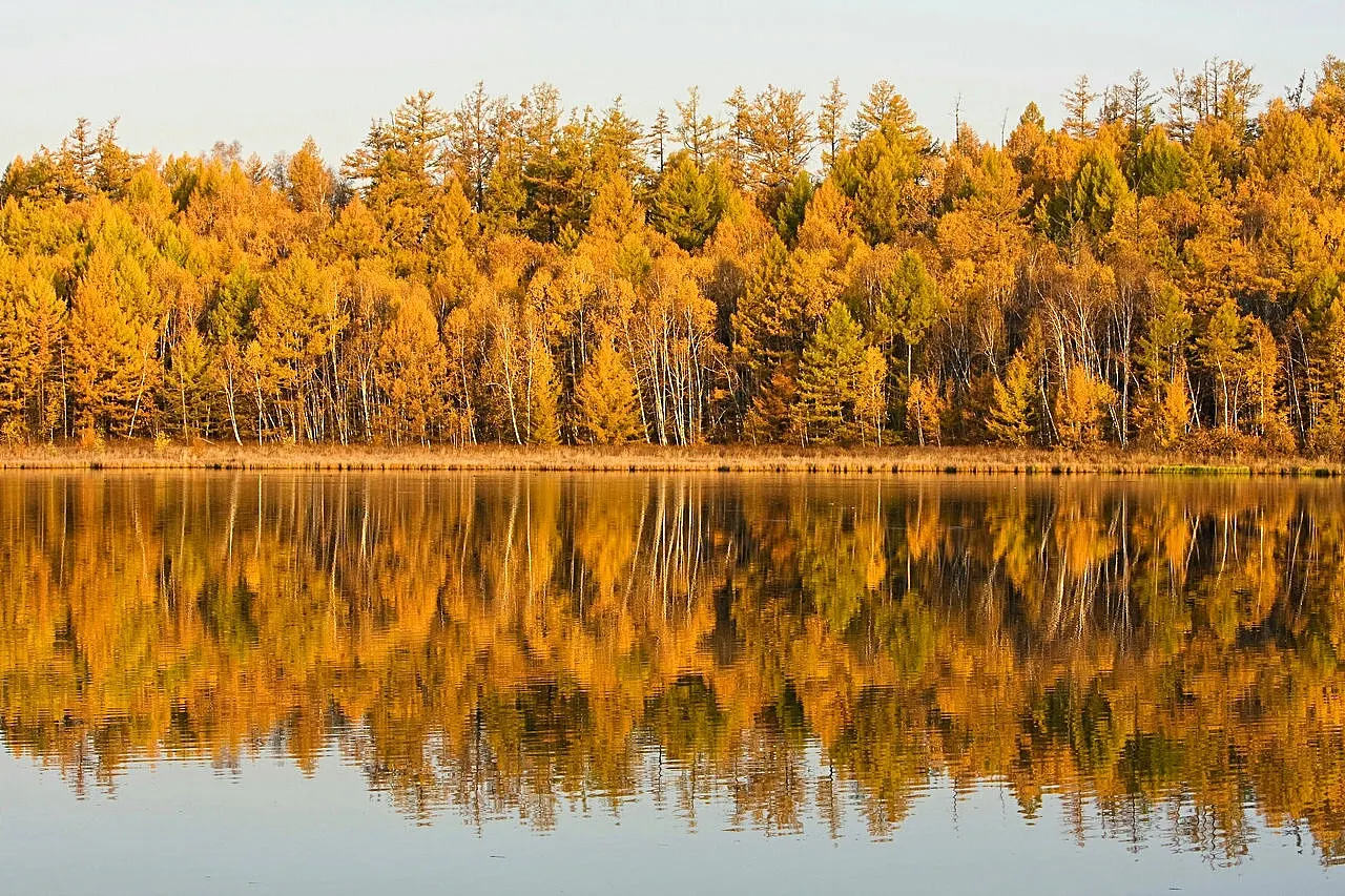 [Shanghai-Changshu Hin- und Rückfahrt] Landschaftsgebiet Shanghu + Konfuziustempel Changshu + Yan-Garten + Xingfu-Tempel