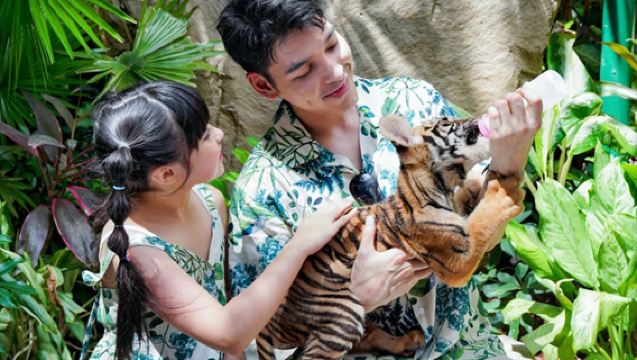 ทัวร์ 1 วัน ซาฟารีเวิลด์ กรุงเทพ [ทัวร์ส่วนตัว/รวมตั๋วเข้า/รถส่วนตัวเข้าสู่เขตสัตว์ป่า]