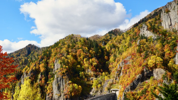日本小樽運河+朝裏川温泉【中文司機/可訂多日】