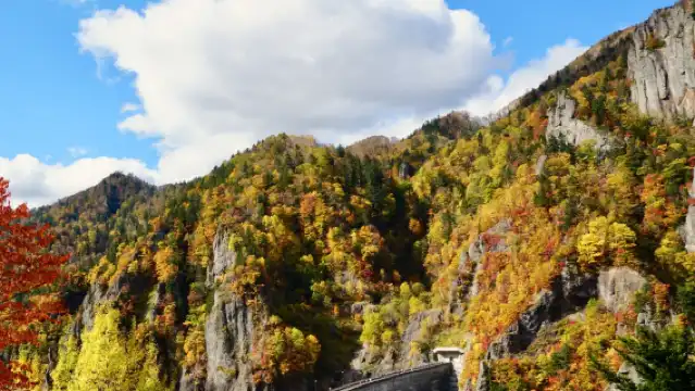 日本小樽運河+朝裏川温泉【中文司機/可訂多日】