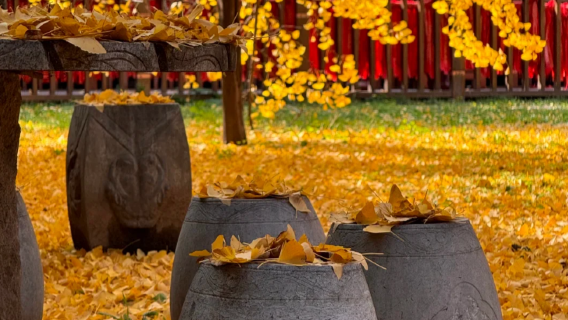 古觀音禪+重陽宮+活死人墓一日包車遊【三環內接駁】真純玩