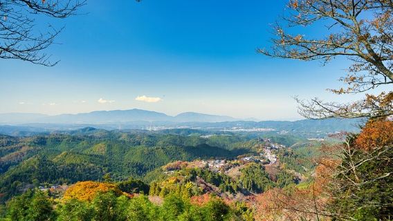 Geführte Wanderung durch historische und natürliche Gebiete in Yoshino