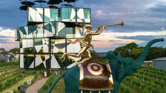 d'Arenberg Cube: Guided Tour + Wine Tasting + Salvador Dali Exhibiton Entry