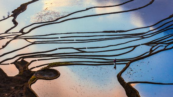 元陽哈尼梯田+阿者科+多依樹+愛春藍色梯田+壩達+老虎嘴