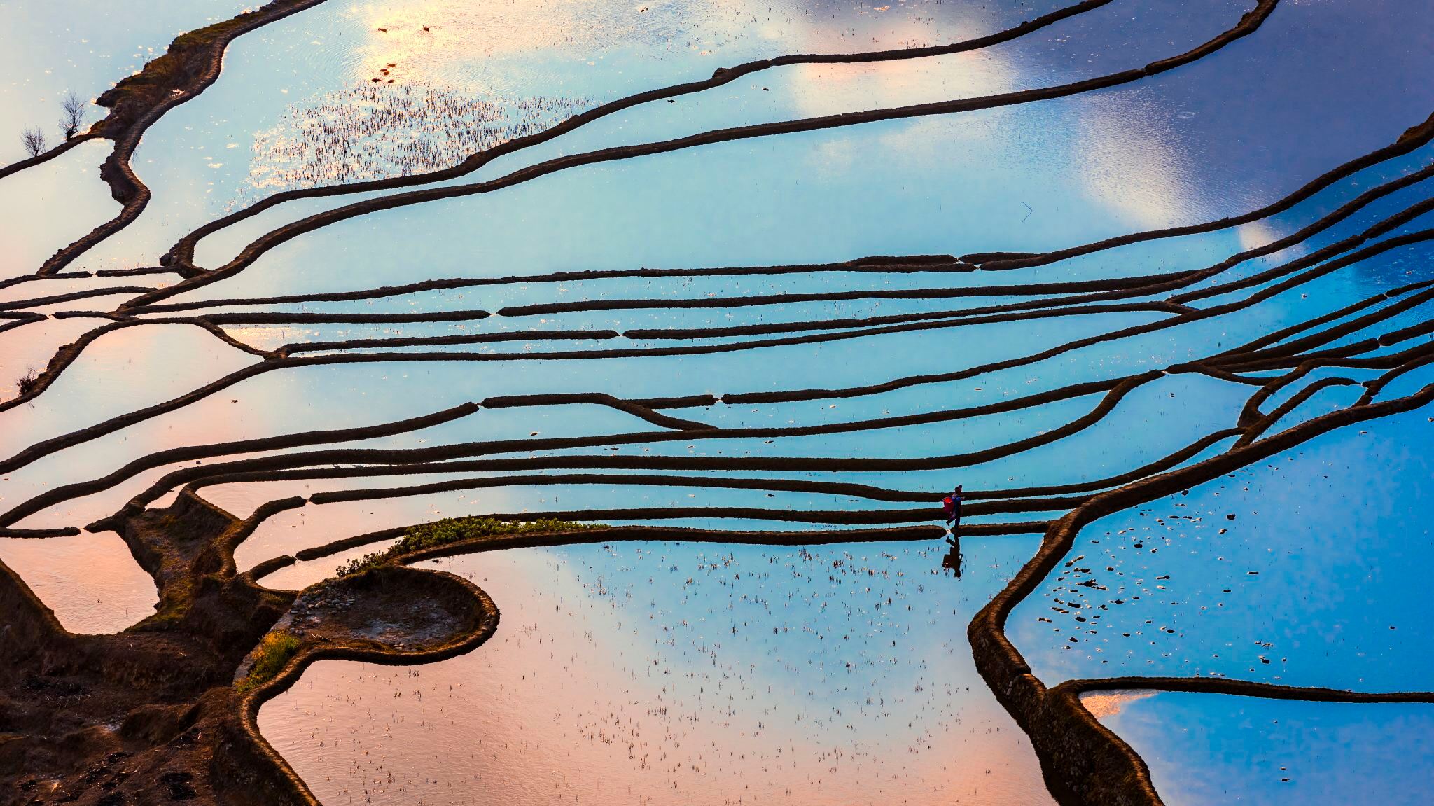 元陽哈尼梯田+阿者科+多依樹+愛春藍色梯田+壩達+老虎嘴