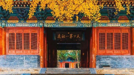 洛陽出發嵩山少林寺+武術館+塔林|金牌導遊|純玩一日遊