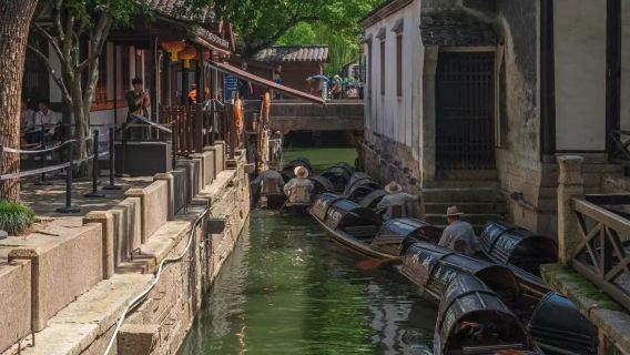 Wupeng Boat Experience + Lu Xun's Hometown + Baicao Garden + Sanwei Bookstore (Includes reservation ticket) + guide Service