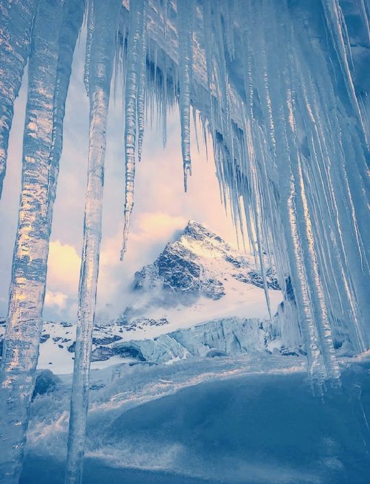 因特拉肯出發少女峰+格林德瓦+勞特布龍嫩探索之旅