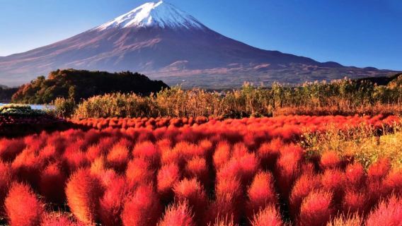 Excursión a los lagos del Monte Fuji en Tokio, Japón: Lago Yamanaka, Parque Popular del Monte Fuji en Shimoyoshida, Oshino Hakkai, Lawson frente a la estación de Kawaguchiko y Lago Kawaguchiko