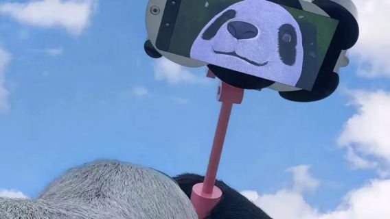 Chengdu 1-day tour with 10-hr private charter: Yangtianwo, Panda Valley, Zhongshuge, and Mount Qingcheng