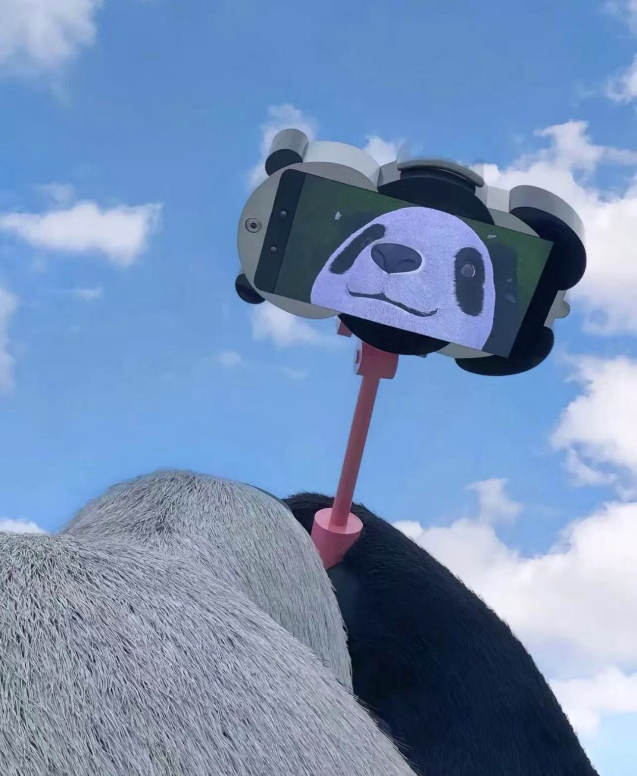 Chengdu - Privattransfer 10 Stunden Tagesausflug zu Yangtianwo, Panda-Tal, Zhongshuge und Qingcheng-Berg