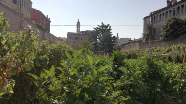 Venice: Secret City Gardens Walking Tour