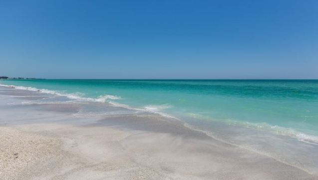 Orlando:Clearwater Dolphin Watch Gulf of America Small Group