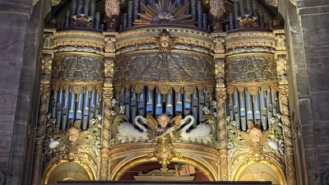 Denmark Copenhagen - Nyhavn - Christiania - University of Copenhagen - Private Charter - Top Pick