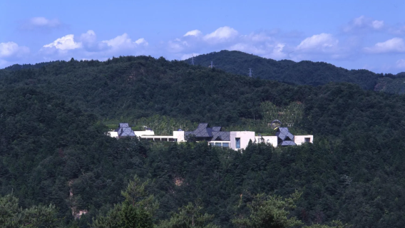 日本大阪|來回【美秀美術館-宇治平等院】中文包車一日遊