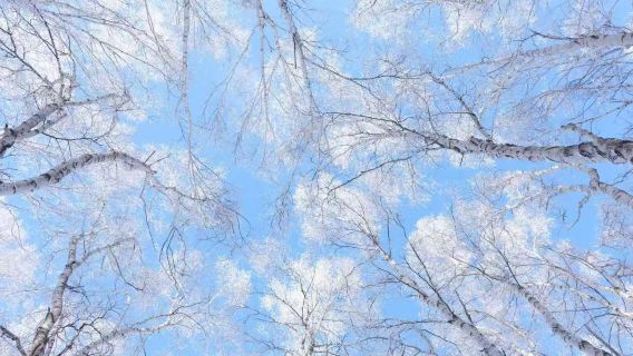 木蘭圍場 塞罕壩國家森林公園 烏蘭布統包車1日遊