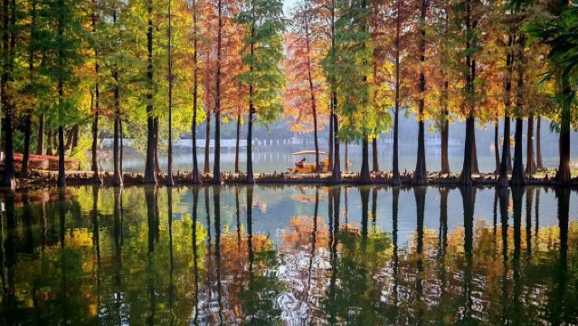 私家小團上門接駁|佛山祖廟+醒獅表演+佛山嶺南新天地+西樵山一日遊