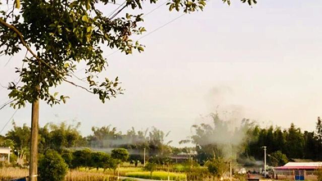 "Lawatan Sehari Hutan Hujan Gunung Jinuo Xishuangbanna + Pengalaman Budaya Ladang Teh Seluas 10,000 Mu"