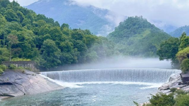 Lawatan setengah hari ke Taman Negara Wuyishan | Termasuk bas pelancongan + penerangan berpandu