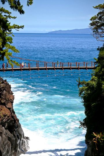 1-day tour to Izu from Tokyo: Izu Kyuko Line + Jogasaki Coast +