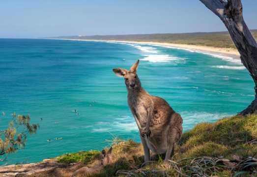 Brisbane North Stradbroke Island Tour [11-seater bus round-trip from the city] AUD 211.12