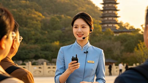 南京總統府+報恩寺+紀念館+牛首山文化旅遊區+夫子廟1日活動