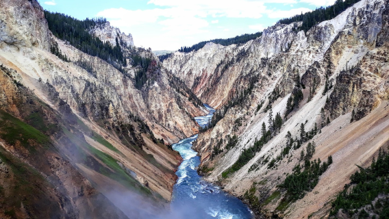 Da Jackson Hole: tour di un giorno al Parco nazionale di Yellowstone - tour di gruppo