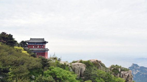 山東青島翻譯/導遊/ 韓語/英語/法語/俄語/日語/西班牙語/德語/多語種翻譯導遊/外賓接待/一單一團