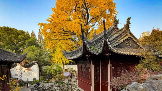 Tur Setengah Hari Kota Taman Yu Shanghai + Kuil Dewa Kota Shanghai (Grup Kecil)