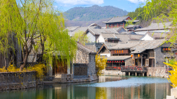 BEIJING W TOWN 1-day tour round-trip bus [includes ticket + on-board guide] Chinese/English tour