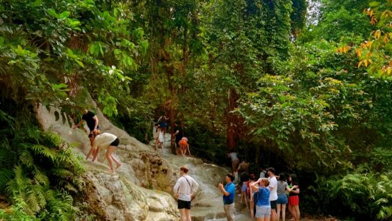 ทัวร์ 1 วัน เชียงใหม่ อุทยานแห่งชาติน้ำตกบัวตอง-น้ำพุเจ็ดสี + คาเฟ่ช้าง + คุ้มเสือ แม่ริม