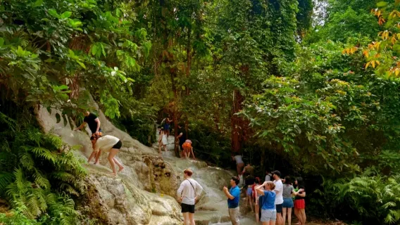 Excursión de un día en Chiang Mai: Cascada Sticky + Café de Elefantes + Reino del Tigre