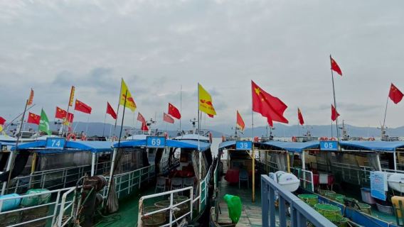 浙江寧海灣出海捕魚丨船上海鮮餐+拉地籠+海上觀光/漁民體驗
