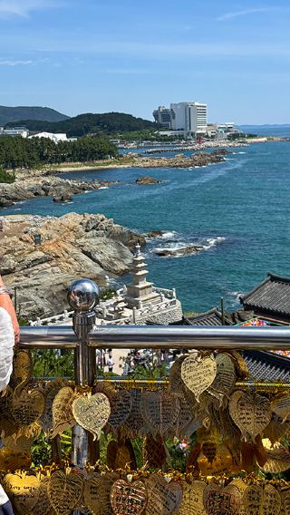 Busan Private Tour with Licensed Local Guide & Hotel Pick-up