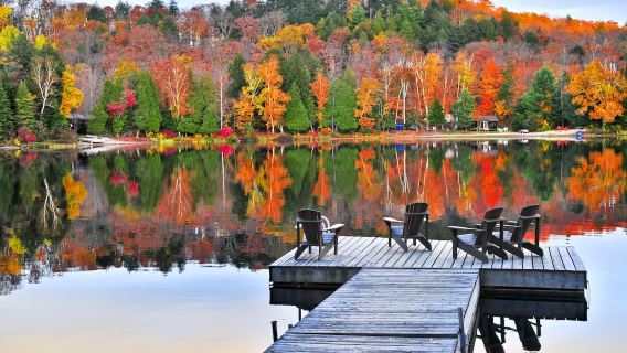 [Autumn Limited Time Offer] Toronto Fall Foliage Day Trip | Lake Cutchin + Honeymoon Lake + Algonquin Park