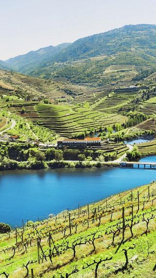 Portugal: Round-trip from Porto to Douro Valley private charter 1-day tour ※ Adjustable itinerary