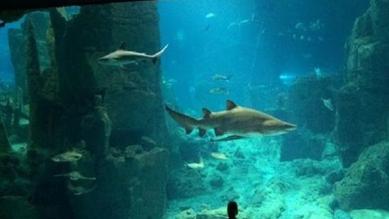 Eropah Turki Istanbul terowong bawah laut dan pantai cinta lawatan sehari pembelajaran sambil bermain untuk keluarga dengan sewaan peribadi