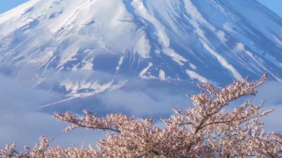 日本富士山五合目登山頂+山中小屋+專業導遊陪同