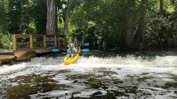 Júpiter: Passeio de Caiaque pelo Rio Loxahatchee Selvagem e Cênico