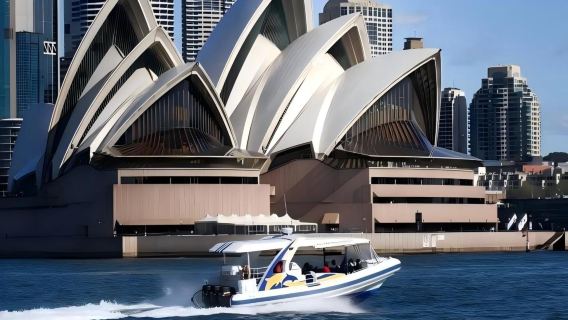 Passeio turístico de barco para observação de baleias de 2,5 horas em Sydney