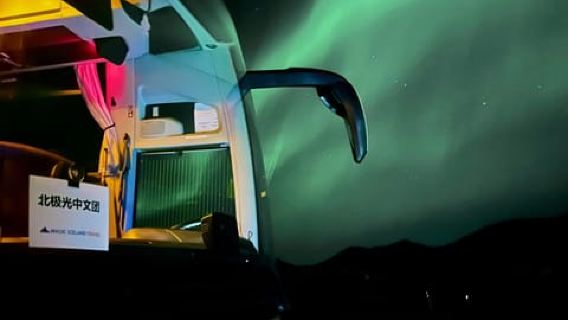 Reykjavik: Çince Rehberli Kuzey Işıkları Turu