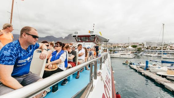 Costa Adeje: Whale & Dolphin Submarine Vision Mini Cruise
