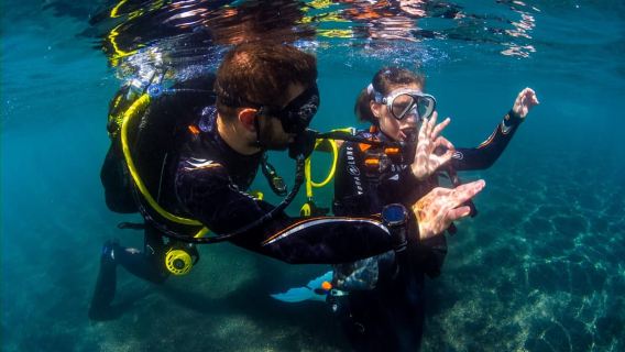 Santa Cruz de Tenerife: Beginner's Diving & Introduction