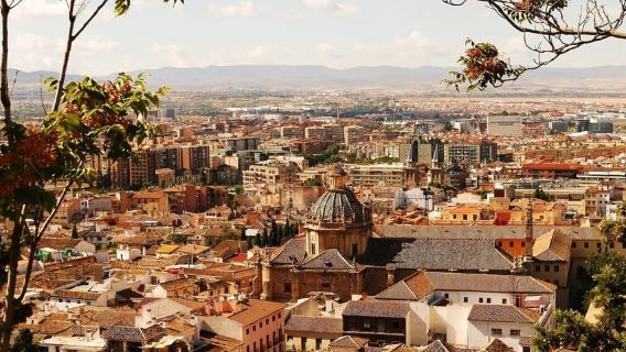 From Costa del Sol: Granada Day Trip with 5-Hour Free Time