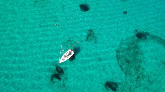 From Stintino: Half-Day Sailing Boat Tour to La Pelosa