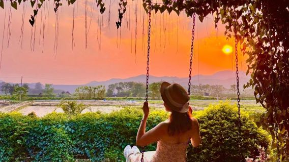 [Kumpulan tunggal tanpa gabungan] Taman Botani Akademi Sains China Xishuangbanna + Kampung Manyuan lawatan sehari Hiburan tulen 
