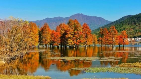 Lawatan sehari sewaan peribadi ke Hongcun + Tasik Qishu [Jemputan pintu ke pintu di bandar Tunxi\Stesen Kereta Api Huangshan Utara\Masa fleksibel]