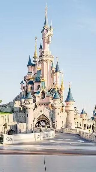 Paris city round-trip Disney [One-way pickup/drop-off] Chinese/English private charter · Admission ticket not included