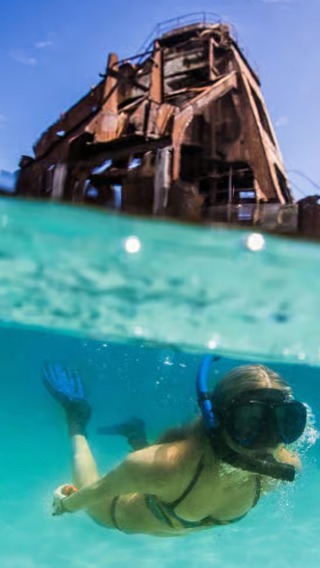 Moreton Island: Tangalooma snorkeling tour and dolphin feeding